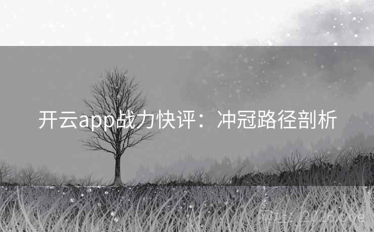 开云app战力快评：冲冠路径剖析