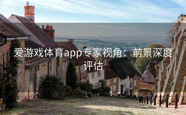 爱游戏体育app专家视角:前景深度评估