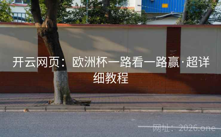 开云网页：欧洲杯一路看一路赢·超详细教程