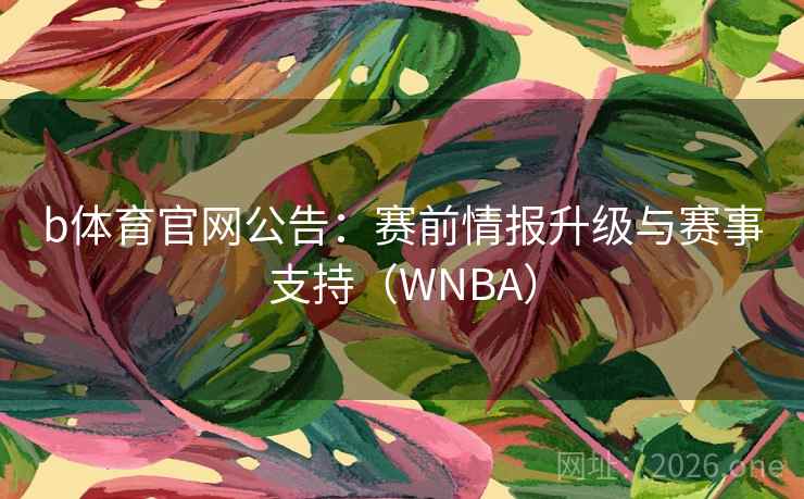 b体育官网公告：赛前情报升级与赛事支持（WNBA）