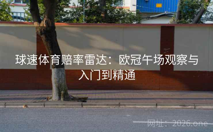 球速体育赔率雷达：欧冠午场观察与入门到精通