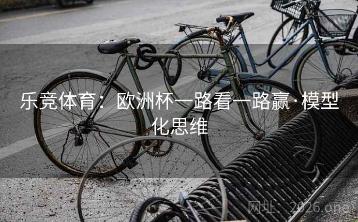 乐竞体育：欧洲杯一路看一路赢·模型化思维