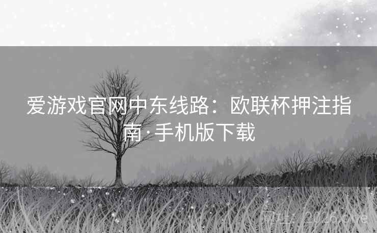 爱游戏官网中东线路：欧联杯押注指南·手机版下载
