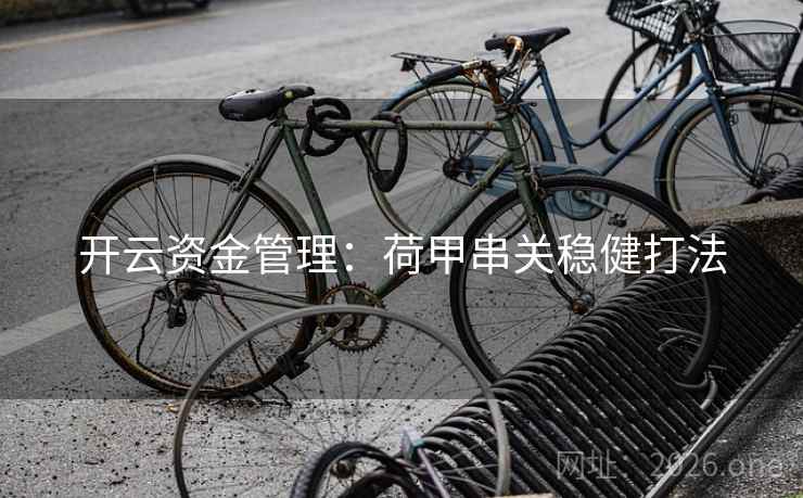 开云资金管理：荷甲串关稳健打法