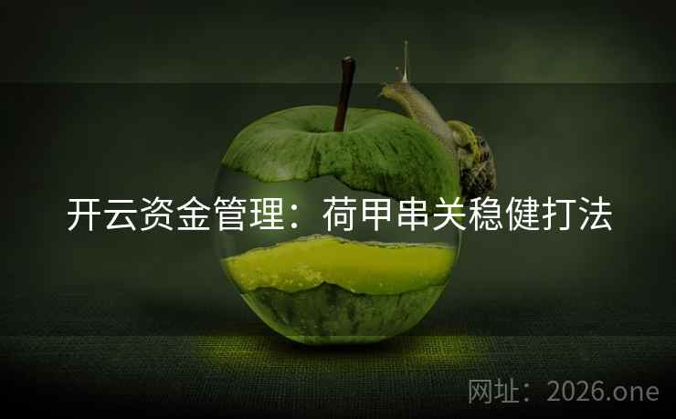 开云资金管理：荷甲串关稳健打法