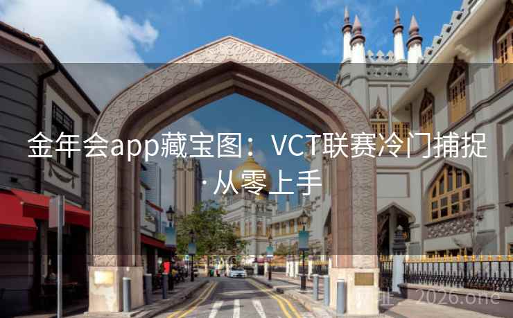 金年会app藏宝图：VCT联赛冷门捕捉·从零上手