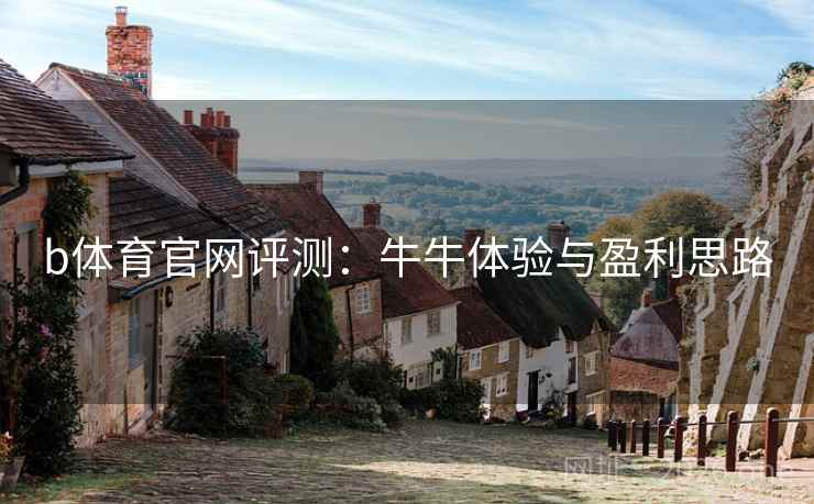 b体育官网评测:牛牛体验与盈利思路 b体育官网评测:牛牛体验与盈利思路