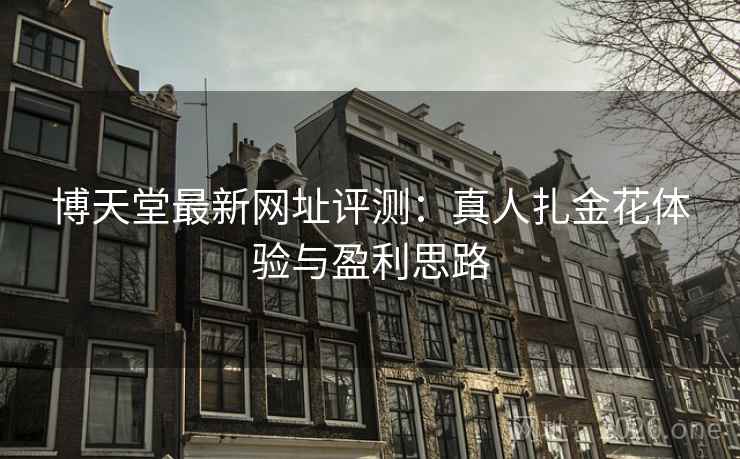 博天堂最新网址评测：真人扎金花体验与盈利思路